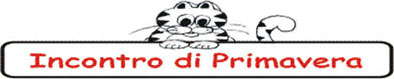 Incontro di Primavera 2003