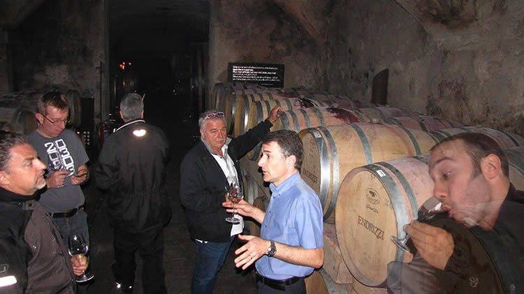 Mattia cantina